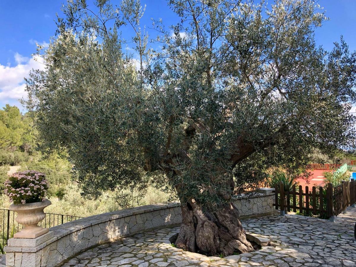 Finca Can Sec Farm stay