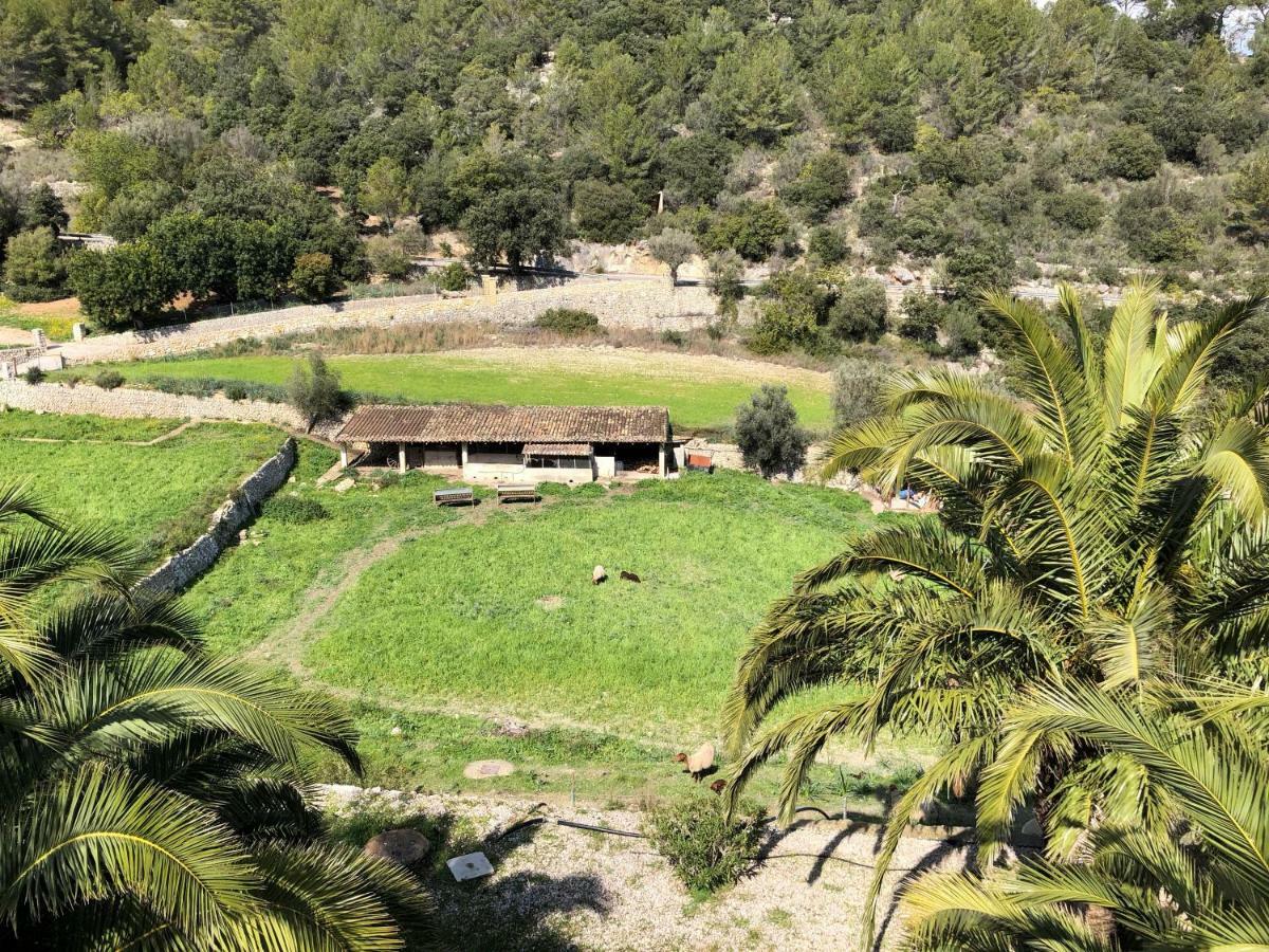 Finca Can Sec Séjour à la ferme